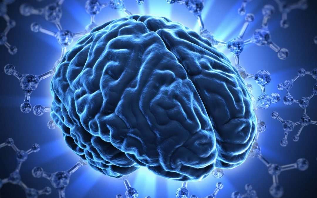 O que faz um neuropsicopedagogo?