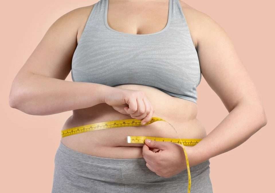 Quais danos a obesidade causa?
